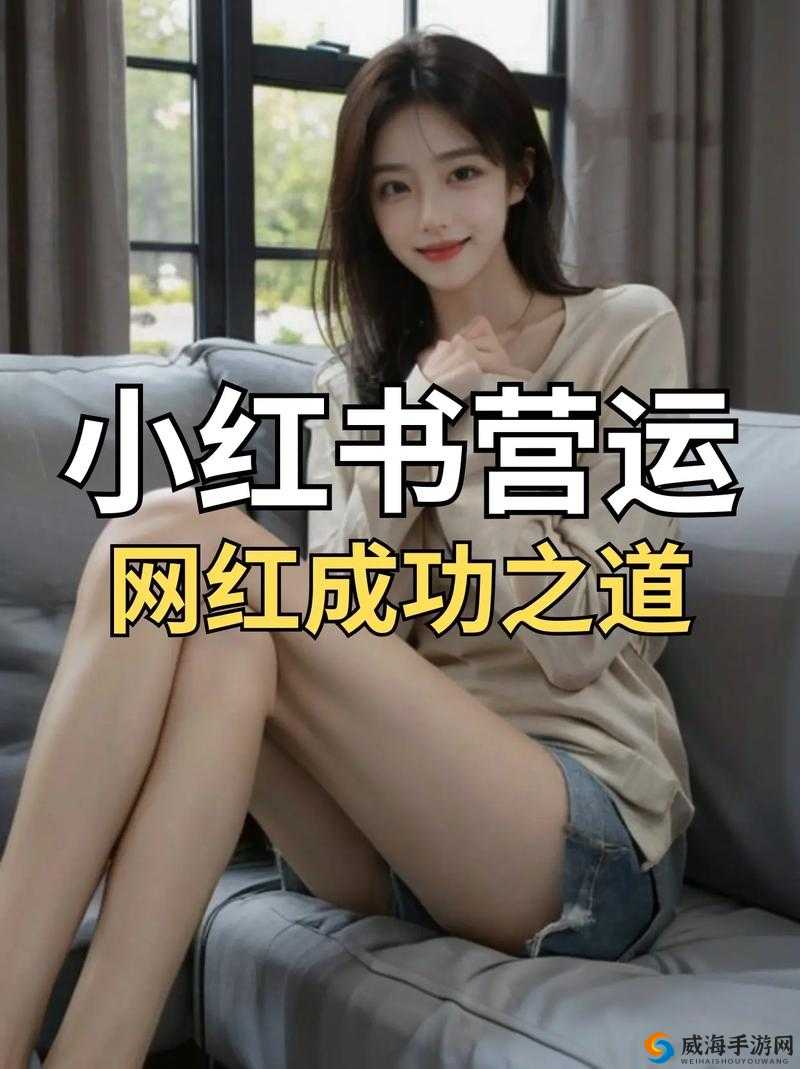 《我要当网红》第5关通关攻略：轻松掌握5个技巧，让你成为网红达人