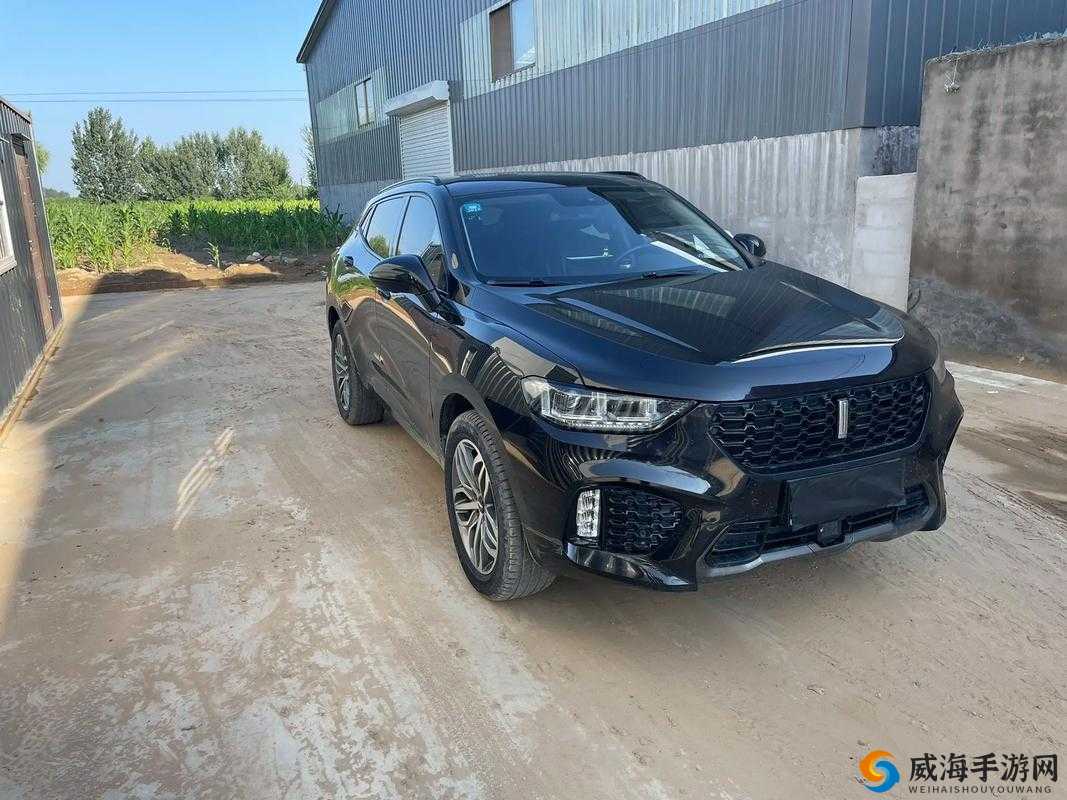 WEY VV5 国产 SUV 精彩视频呈现