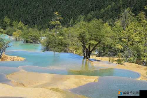 黄龙风景区溪水潺潺的秘密是什么：探寻其背后的缘由