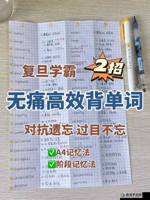 边坐学霸的鸡边背单词：创新高效学习法