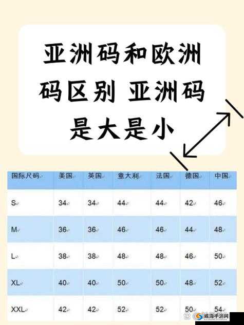 欧洲 S 码亚洲 M 码尺寸范围对比