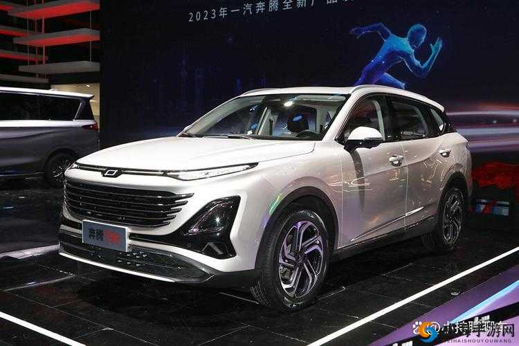 国产 SUV 精品一区二区：卓越驾乘体验之选