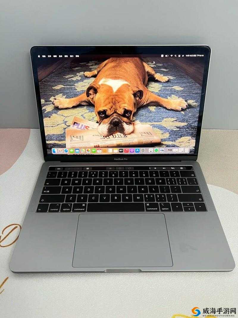 欧美MacbookPro 高清被爆停运了：背后原因令人震惊