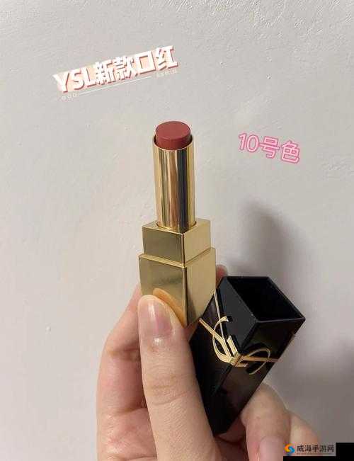 ysl 蜜桃棕调色的独特魅力与时尚呈现