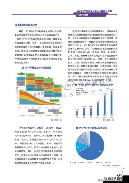 法国空姐 2024 年将面临的机遇与挑战及未来发展趋势分析