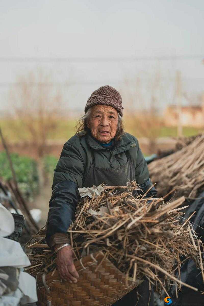 色老头在 XXXⅩ 农村的那些不为人知的故事