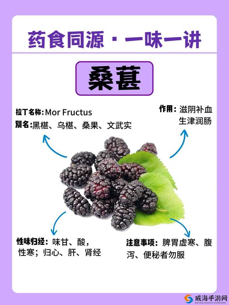 老妇桑椹之韵味：BBBB 桑椹的独特魅力与故事