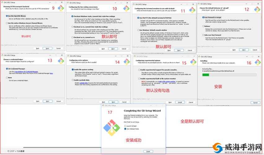 国外免费 SVN：版本控制的绝佳选择