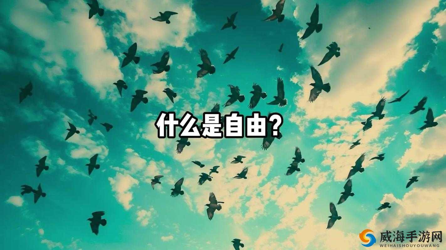 137 裸交：是欲望还是自由的表达？