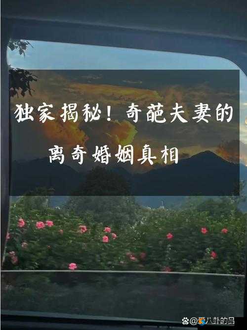 两家荒唐事：错位亲家的离奇经历