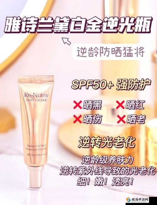 YSL 千色 T9T9T9 精选中文字幕：探索时尚魅力新境界