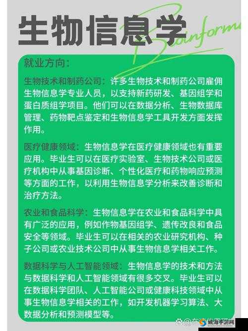 内射网：探索其独特的功能和潜在的应用领域