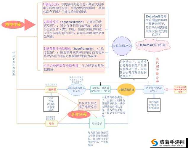 被 C 上瘾 H 之深入探究其成因与影响分析