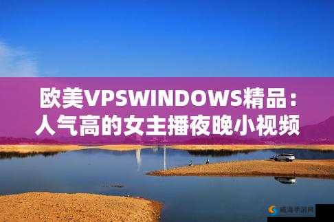 VPSWINDOWS 另类精品：带来独特而优质的体验