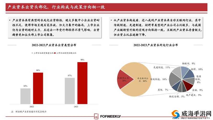 国外 b 站 2024mmm：关于其未来发展趋势及影响力的探讨