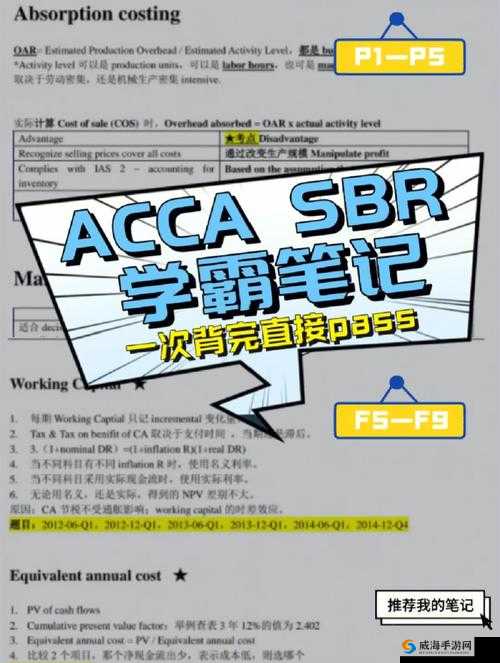 ACCA 少女 sdanvi 角色分析：探寻其独特魅力与成长轨迹