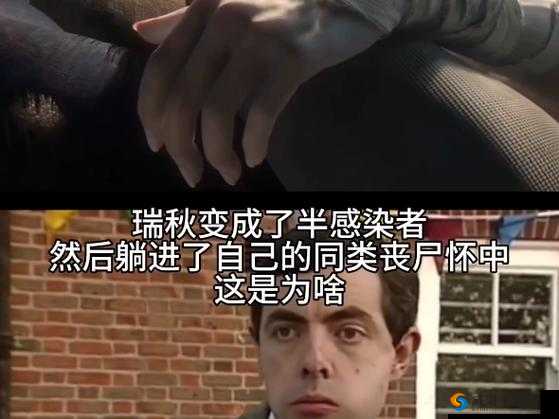 明日之后游戏攻略，掌握瑞秋之约与40残页亲密值提升的管理艺术