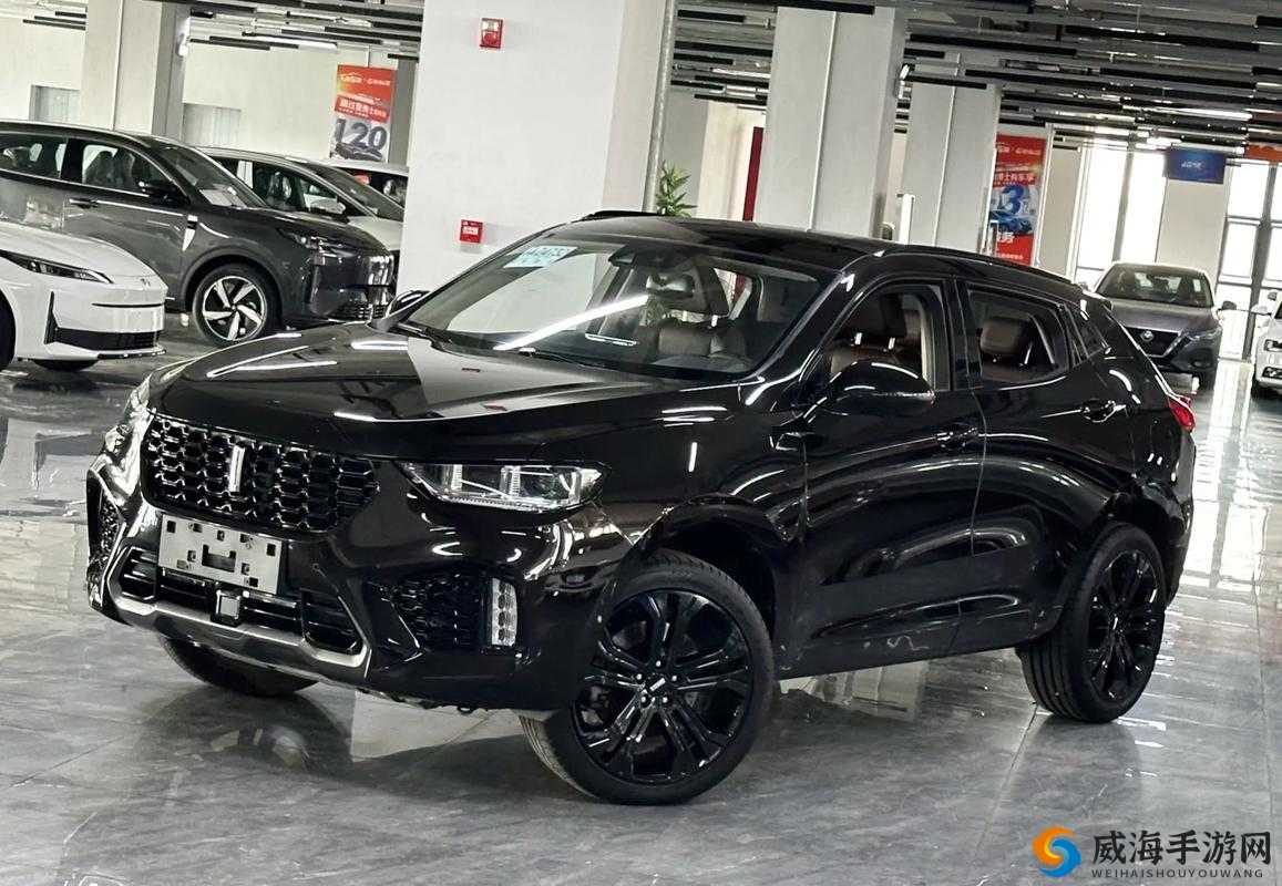 weyvv5 国产 SUV 深度评测：全方位剖析其性能与亮点