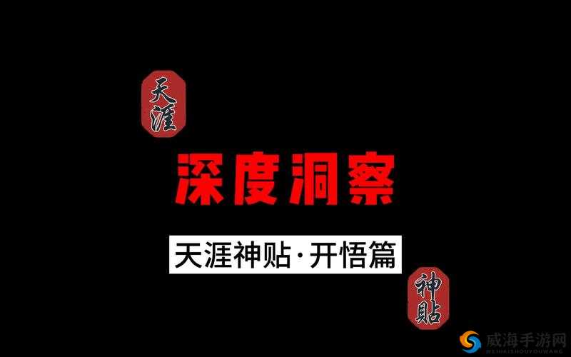 无人区编码 6229 大观天下事：深度洞察世间万象与风云变幻