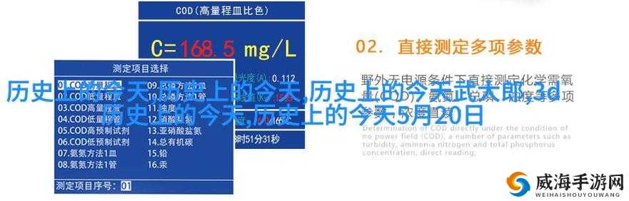 老人玩小处雌女视频所蕴含的独特价值与意义探讨