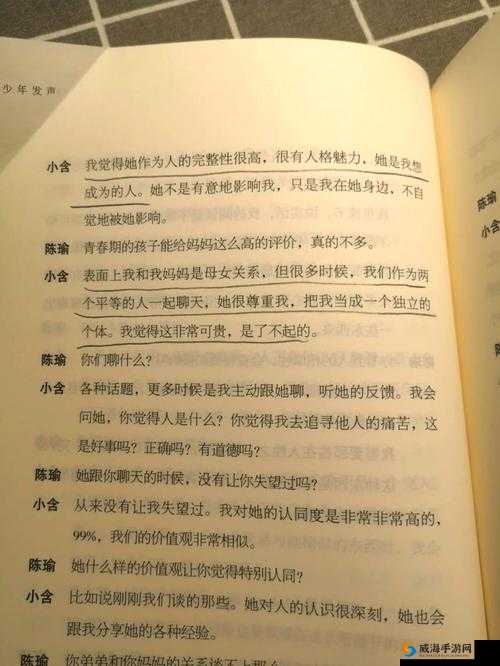 别顶了视频：揭示不为人知的背后故事与真相