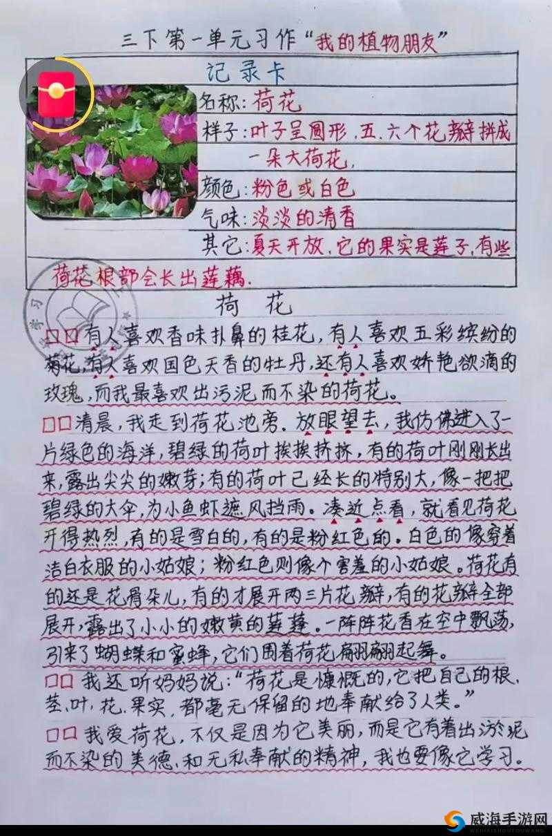 含羞草卡 1 卡 2 卡三卡 2021 精品：独特魅力等你来探索