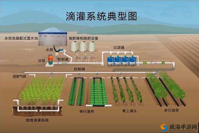 优质 RB 灌溉系统唐宁：原理、结构及应用