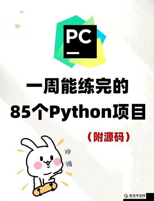 PYTHON 人马大战 CSDN-一场激烈的技术对决较量