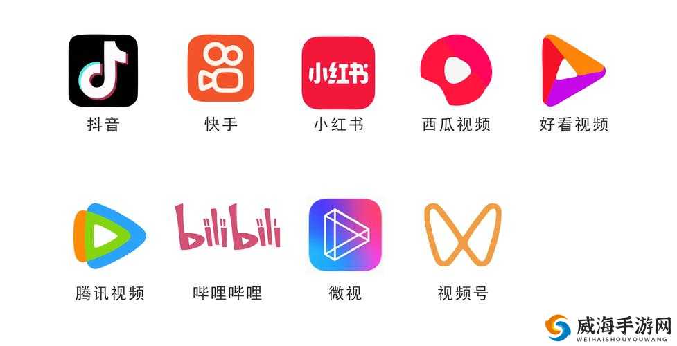 成品短视频 APP 推荐功能：精准推送精彩内容