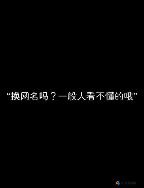 tom 最新地域网名入口在哪：揭晓神秘路径