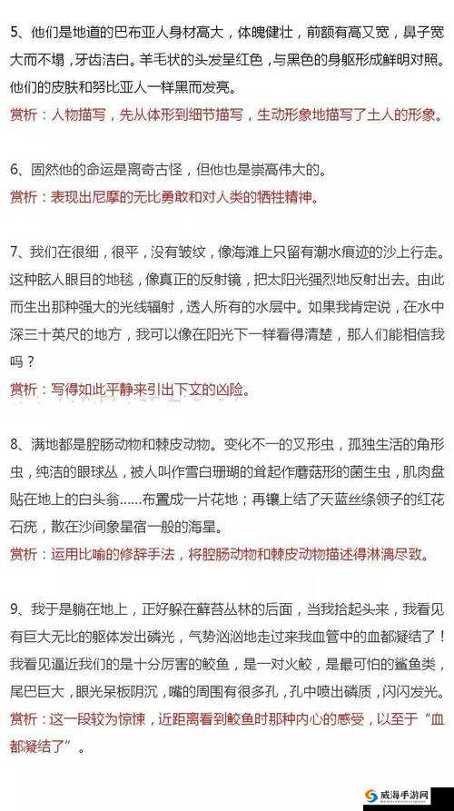 偷拍小说：一段不为人知的隐秘故事悄然展开