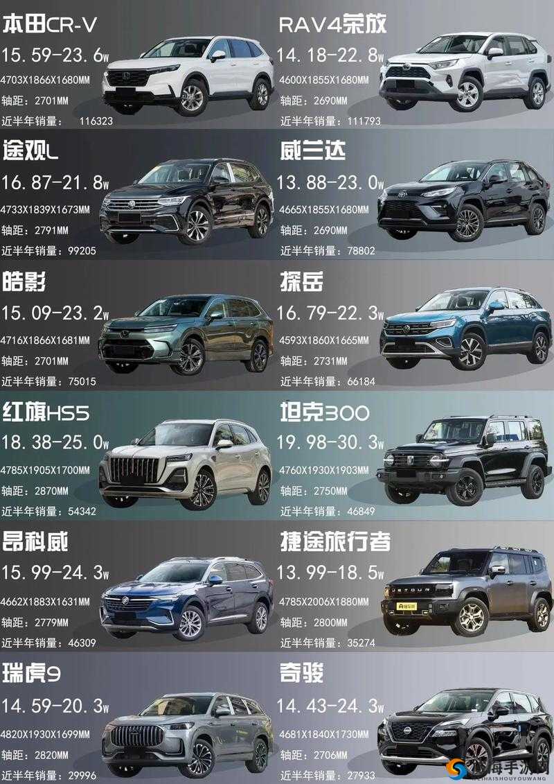 497799 欧洲版国产 SUV 特点全解析