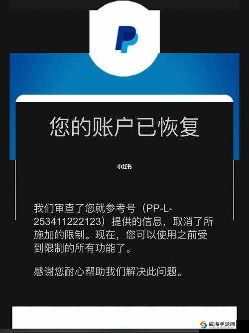 Paypal 未满十八岁怎么解封：解决方法探讨