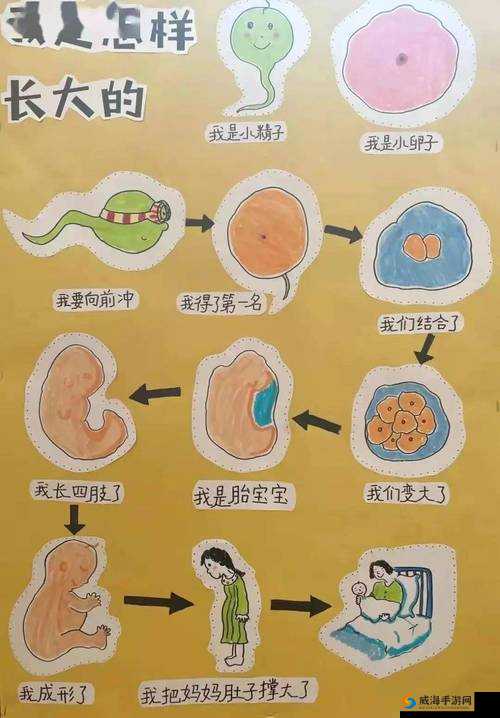 人与畜禽共性关系的重要性：探索生命奥秘的关键