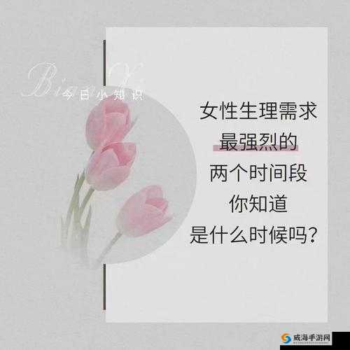 女厕 BB w 撒尿：满足生理需求的私密时刻