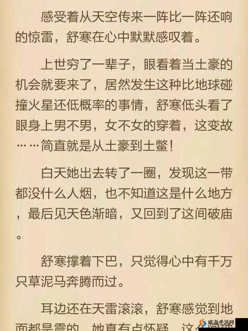 公用的公主银羽傅清华藩王神犬之传奇故事