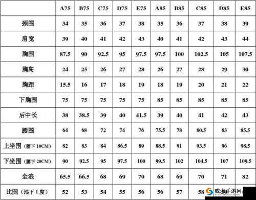 亚洲 S 码欧洲 M 码吹潮相关内容探讨