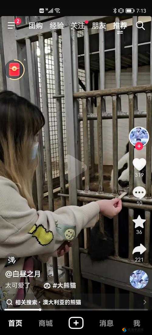 ZOOKEEPER 另类：独特的动物守护者