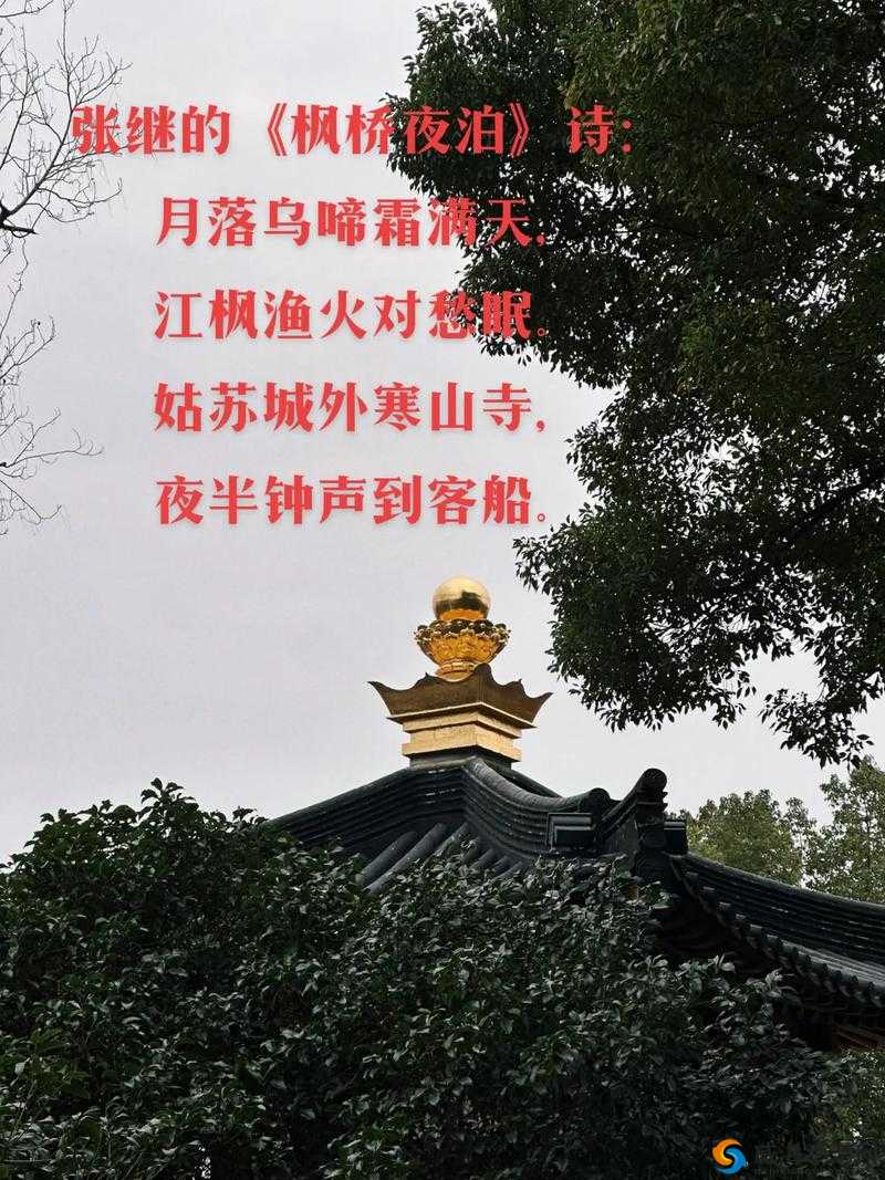 姑苏城外寒山寺探秘：云裳羽衣下的姑苏之谜与半半问答答案大全解密之旅