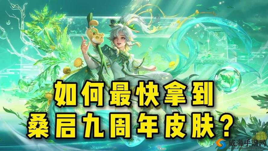 《王者周年庆限定皮肤色彩揭秘：深入解析周年限定皮肤特效主要颜色与魅力所在》