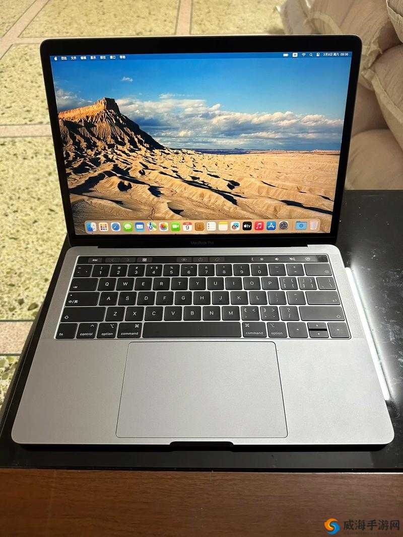 19 岁日本女大学生的 Macbook Pro