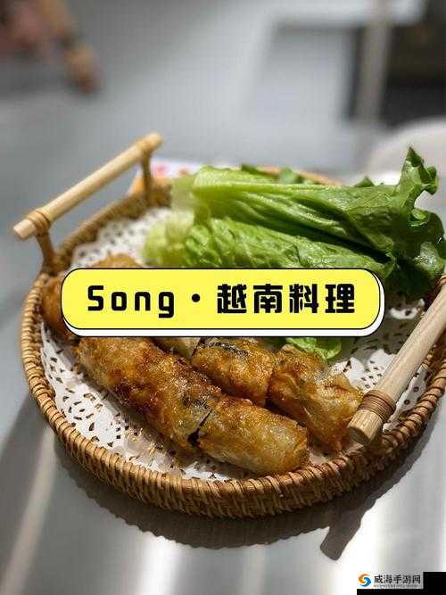 料理秘籍：春卷配方公式与制作步骤详解