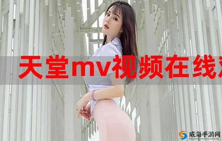 如何在各种平台上畅享欧美日韩国产 mv：实用技巧分享