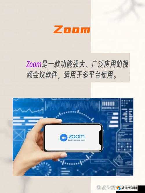 ZOOM 人与 ZOOMZOOMHD 区别解析