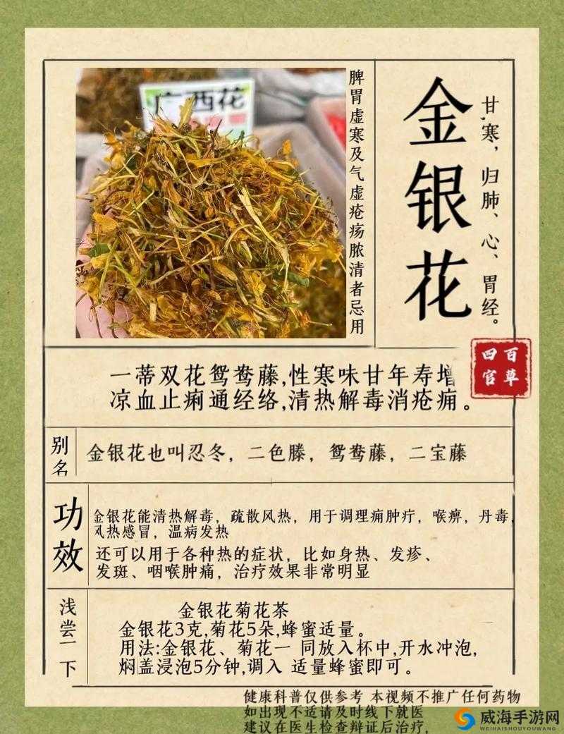 小尾巴 txt 金银花原文：金银花的奇妙功效与作用