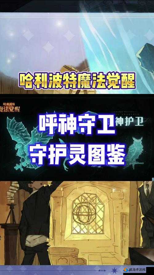 哈利波特魔法觉醒呼神护卫第章攻略秘籍：战斗策略与技巧全解析