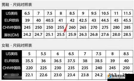 三叶草亚洲尺码与欧洲尺码区别解析