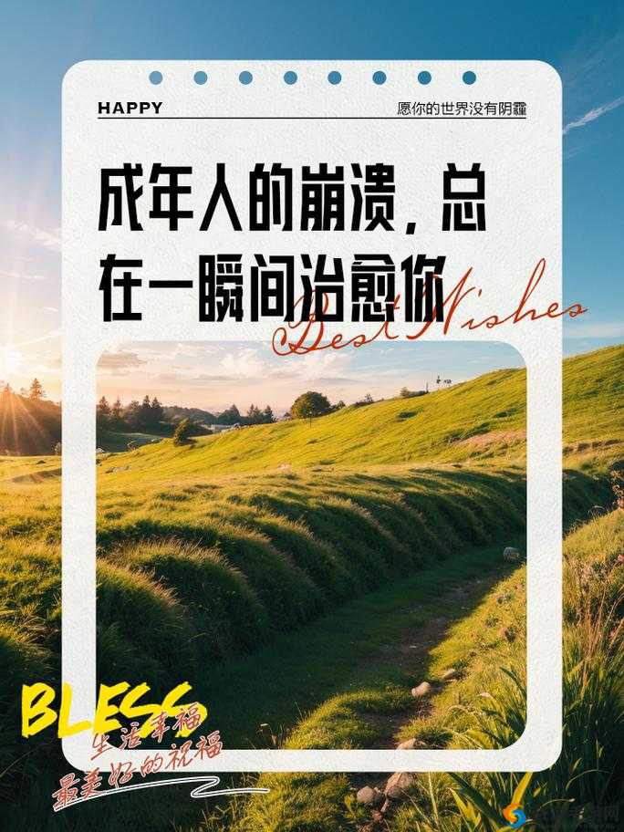 已满 18 岁，请带好卫生纸：独自生活指南