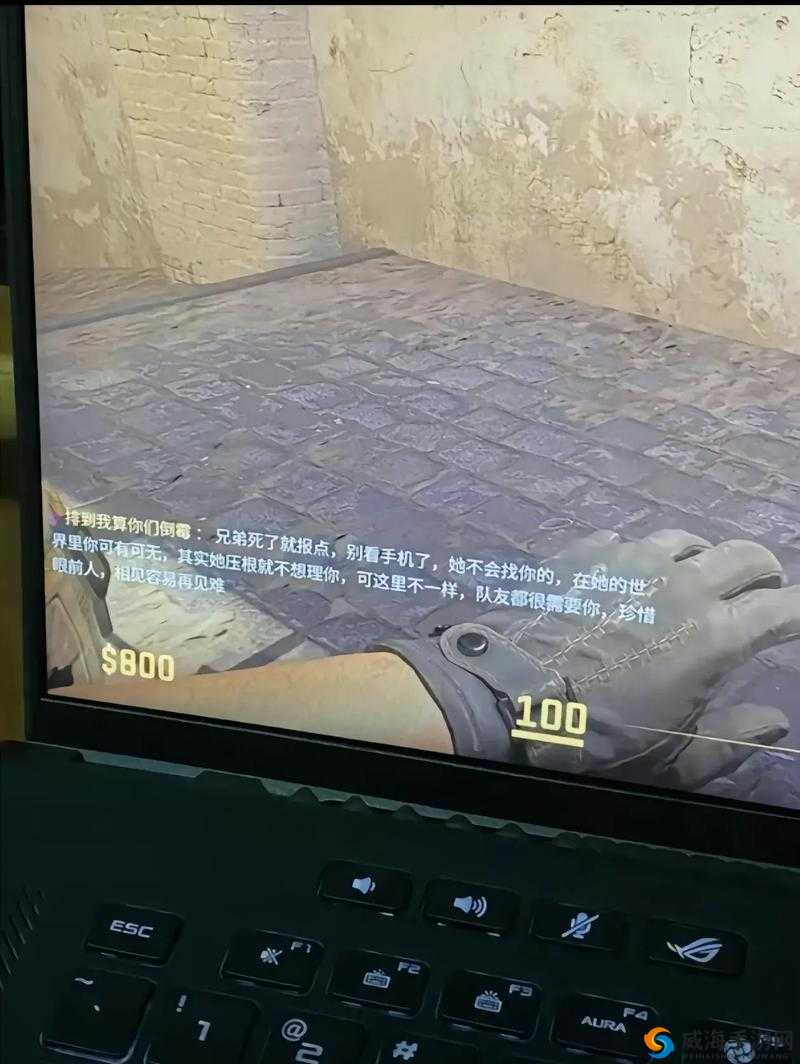 老婆不在家一个人寂寞 CSGO：开启战斗之旅