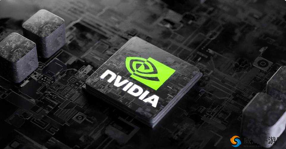 NVIDIA 已成世界第一啦